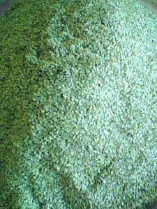 Manufacturers Exporters and Wholesale Suppliers of Senna Leaves T Cut hyderabad Andhra Pradesh